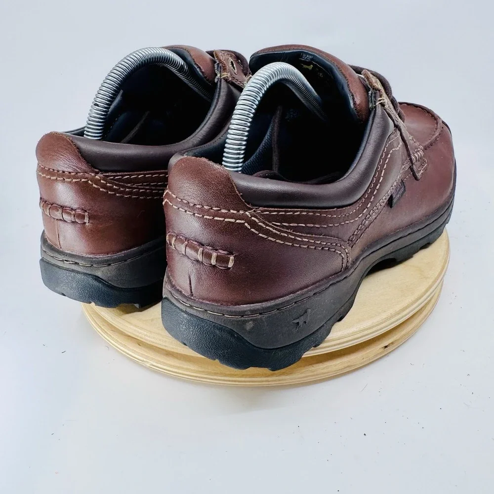 Irish Setter red wing
